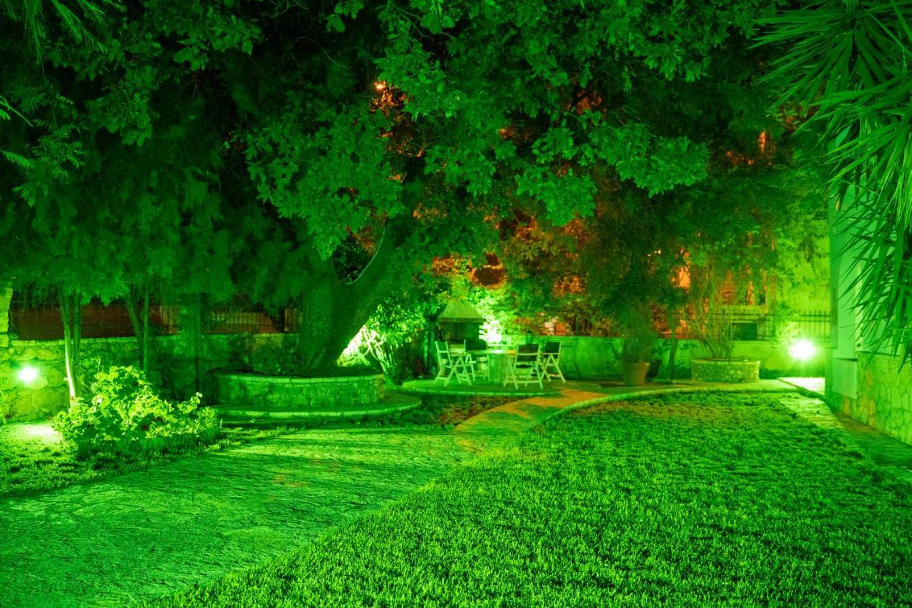 Dina * Sivota (Epirus)